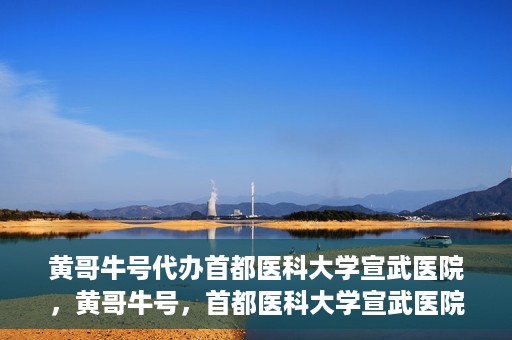 黄哥牛号代办首都医科大学宣武医院，黄哥牛号，首都医科大学宣武医院代办服务
