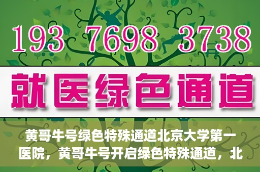 黄哥牛号绿色特殊通道北京大学第一医院，黄哥牛号开启绿色特殊通道，北京大学第一医院全力护航健康之路