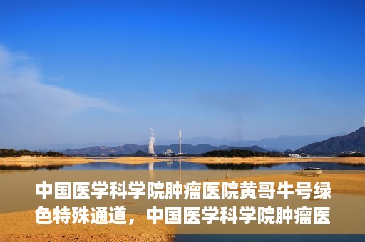 中国医学科学院肿瘤医院黄哥牛号绿色特殊通道，中国医学科学院肿瘤医院黄哥牛号，绿色特殊通道开启健康之门