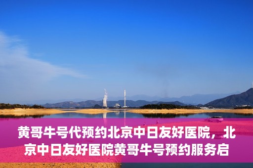 黄哥牛号代预约北京中日友好医院，北京中日友好医院黄哥牛号预约服务启动