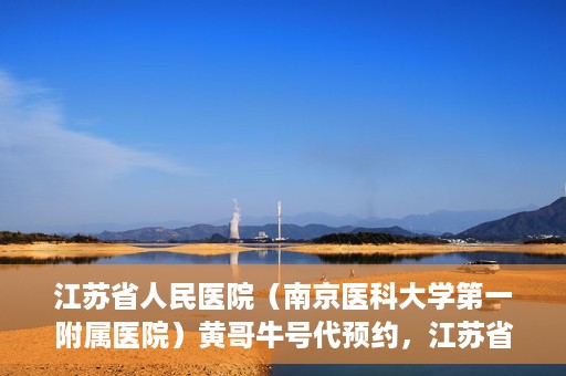 江苏省人民医院（南京医科大学第一附属医院）黄哥牛号代预约，江苏省人民医院（南京医科大学第一附属医院）黄哥牛号预约服务解析