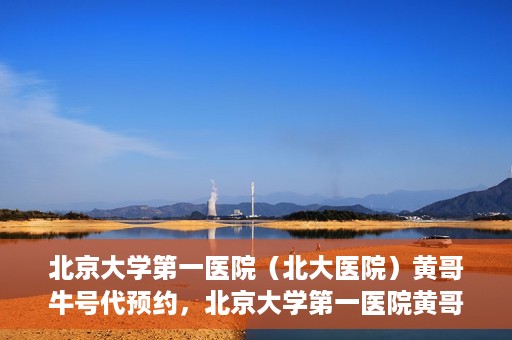 北京大学第一医院（北大医院）黄哥牛号代预约，北京大学第一医院黄哥牛号预约服务解析