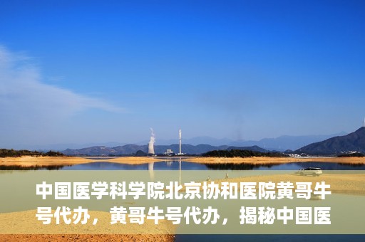 中国医学科学院北京协和医院黄哥牛号代办，黄哥牛号代办，揭秘中国医学科学院北京协和医院背后的故事