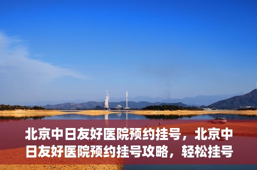 北京中日友好医院预约挂号，北京中日友好医院预约挂号攻略，轻松挂号，就医无忧
