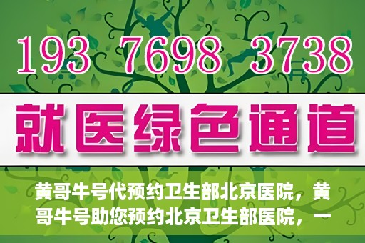 黄哥牛号代预约卫生部北京医院，黄哥牛号助您预约北京卫生部医院，一站式便捷服务开启
