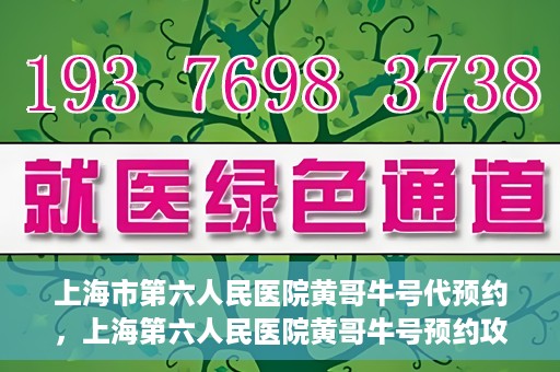 上海市第六人民医院黄哥牛号代预约，上海第六人民医院黄哥牛号预约攻略，轻松解决挂号难题