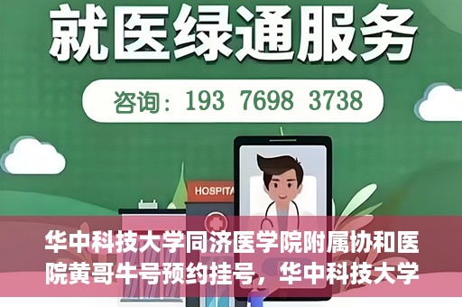 华中科技大学同济医学院附属协和医院黄哥牛号预约挂号，华中科技大学同济医学院附属协和医院黄哥牛号预约挂号攻略解析