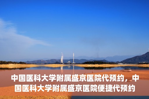 中国医科大学附属盛京医院代预约，中国医科大学附属盛京医院便捷代预约服务解析