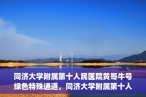 同济大学附属第十人民医院黄哥牛号绿色特殊通道，同济大学附属第十人民医院黄哥牛号，绿色特殊通道开启健康之门