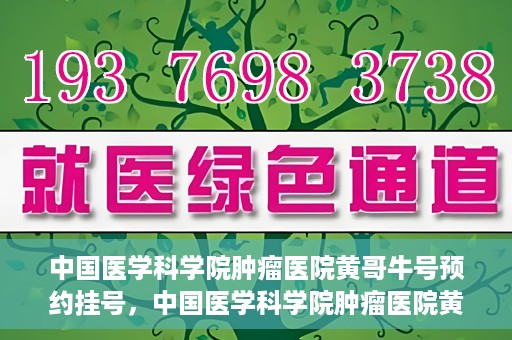 中国医学科学院肿瘤医院黄哥牛号预约挂号，中国医学科学院肿瘤医院黄哥牛号预约挂号攻略，一站式解决您的挂号难题