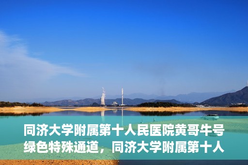同济大学附属第十人民医院黄哥牛号绿色特殊通道，同济大学附属第十人民医院黄哥牛号，绿色特殊通道开启健康之门