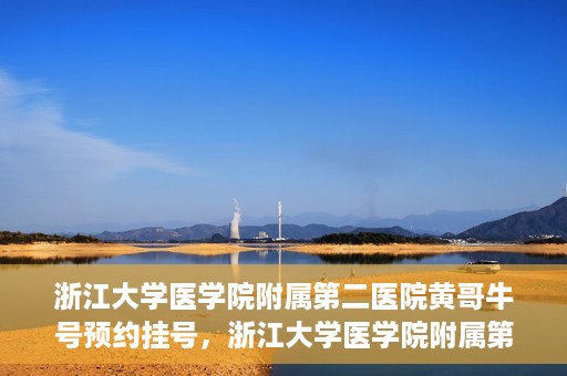 浙江大学医学院附属第二医院黄哥牛号预约挂号，浙江大学医学院附属第二医院黄哥名医牛号预约挂号攻略