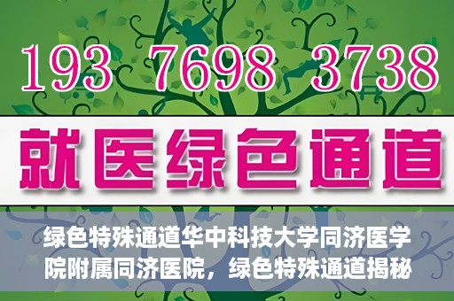 绿色特殊通道华中科技大学同济医学院附属同济医院，绿色特殊通道揭秘，华中科技大学同济医学院附属同济医院的探索之路