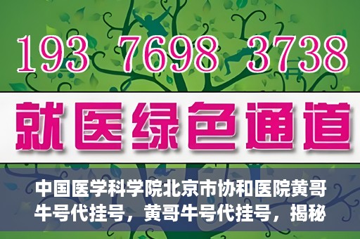 中国医学科学院北京市协和医院黄哥牛号代挂号，黄哥牛号代挂号，揭秘中国医学科学院北京市协和医院挂号背后的故事