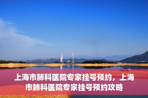 上海市肺科医院专家挂号预约，上海市肺科医院专家挂号预约攻略