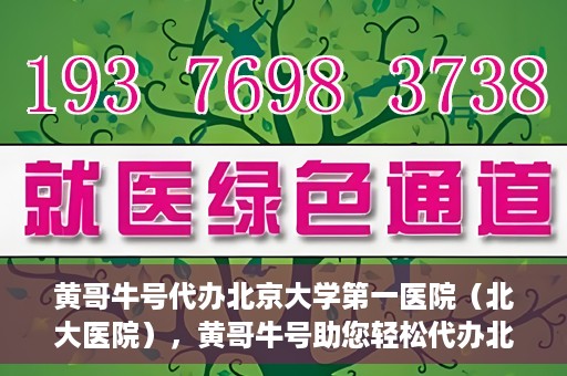 黄哥牛号代办北京大学第一医院（北大医院），黄哥牛号助您轻松代办北大医院事务，一站式服务开启就医新篇章