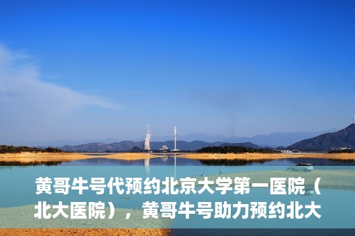 黄哥牛号代预约北京大学第一医院（北大医院），黄哥牛号助力预约北大医院——北京大学第一医院权威预约服务开启