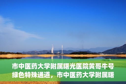 市中医药大学附属曙光医院黄哥牛号绿色特殊通道，市中医药大学附属曙光医院黄哥牛号，绿色特殊通道开启健康之门