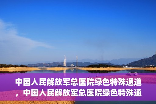 中国人民解放军总医院绿色特殊通道，中国人民解放军总医院绿色特殊通道，医疗服务的紧急通道与人文关怀的完美结合