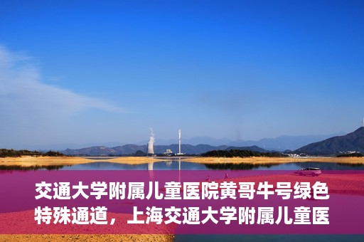 交通大学附属儿童医院黄哥牛号绿色特殊通道，上海交通大学附属儿童医院黄哥牛号绿色特殊通道揭秘