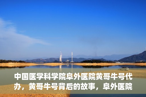 中国医学科学院阜外医院黄哥牛号代办，黄哥牛号背后的故事，阜外医院名医揭秘与医疗服务的深度解读