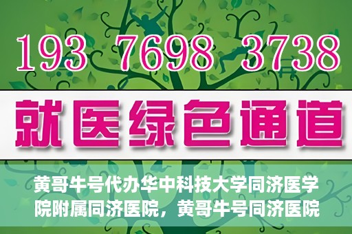 黄哥牛号代办华中科技大学同济医学院附属同济医院，黄哥牛号同济医院代办服务，专业助力就医无忧！