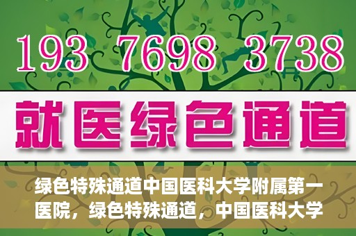 绿色特殊通道中国医科大学附属第一医院，绿色特殊通道，中国医科大学附属第一医院探索前行