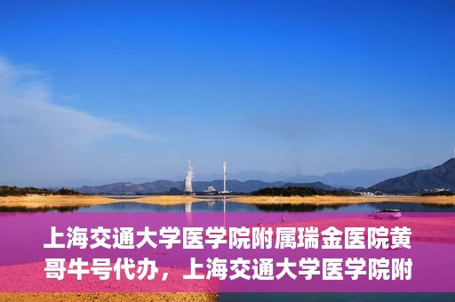 上海交通大学医学院附属瑞金医院黄哥牛号代办，上海交通大学医学院附属瑞金医院黄哥牛号预约代办服务