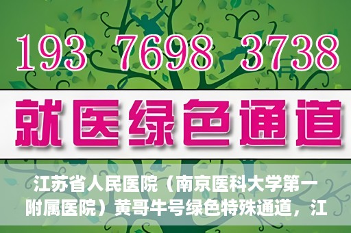 江苏省人民医院（南京医科大学第一附属医院）黄哥牛号绿色特殊通道，江苏省人民医院绿色特殊通道，黄哥牛号的医疗速度与温情服务