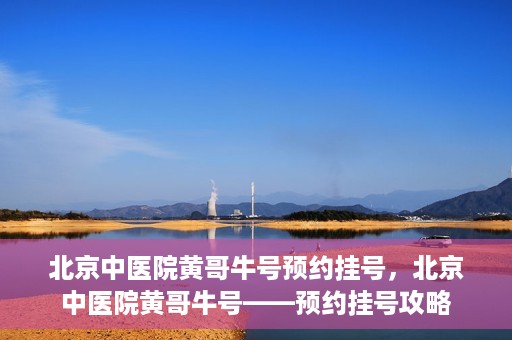 北京中医院黄哥牛号预约挂号，北京中医院黄哥牛号——预约挂号攻略