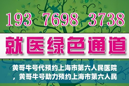 黄哥牛号代预约上海市第六人民医院，黄哥牛号助力预约上海市第六人民医院服务