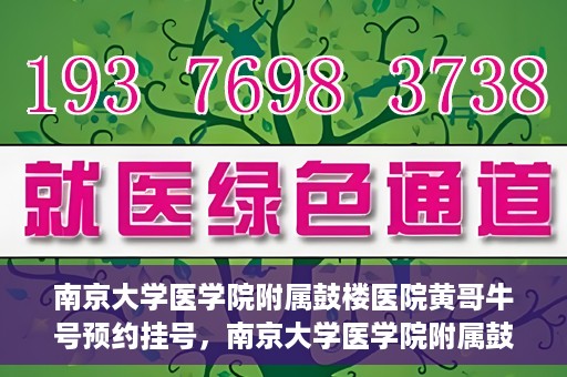 南京大学医学院附属鼓楼医院黄哥牛号预约挂号，南京大学医学院附属鼓楼医院黄哥牛号预约挂号攻略解析
