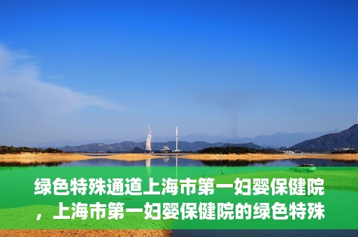 绿色特殊通道上海市第一妇婴保健院，上海市第一妇婴保健院的绿色特殊通道，守护母婴健康的坚实屏障