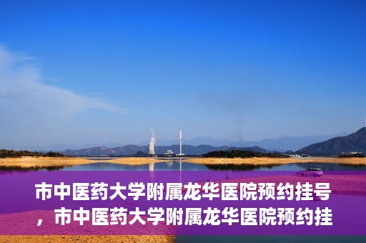 市中医药大学附属龙华医院预约挂号，市中医药大学附属龙华医院预约挂号攻略，一站式解决您的挂号难题