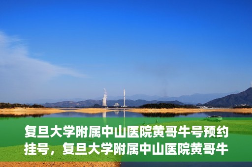 复旦大学附属中山医院黄哥牛号预约挂号，复旦大学附属中山医院黄哥牛号预约挂号攻略解析