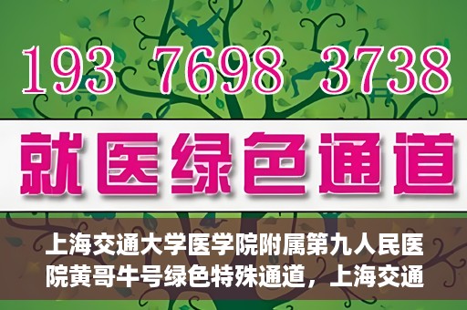 上海交通大学医学院附属第九人民医院黄哥牛号绿色特殊通道，上海交通大学医学院附属第九人民医院黄哥牛号，绿色特殊通道开启健康之门