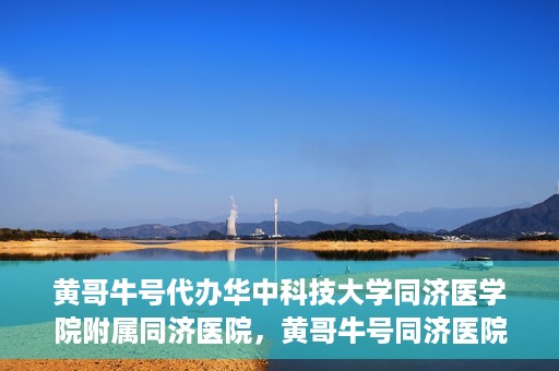 黄哥牛号代办华中科技大学同济医学院附属同济医院，黄哥牛号同济医院代办服务，专业助力就医无忧！