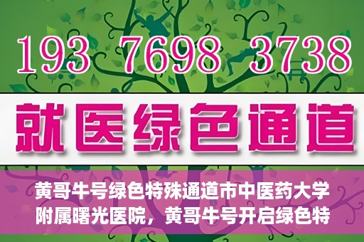 黄哥牛号绿色特殊通道市中医药大学附属曙光医院，黄哥牛号开启绿色特殊通道，市中医药大学附属曙光医院倾力打造健康新篇章