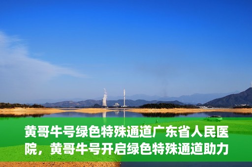 黄哥牛号绿色特殊通道广东省人民医院，黄哥牛号开启绿色特殊通道助力广东省人民医院服务升级