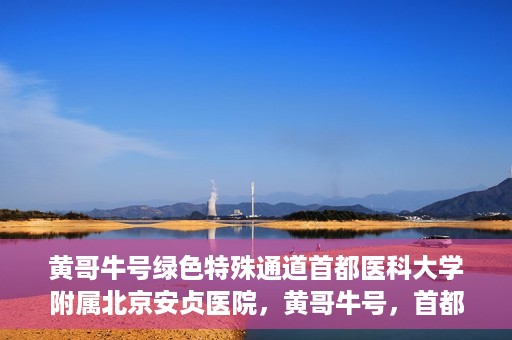 黄哥牛号绿色特殊通道首都医科大学附属北京安贞医院，黄哥牛号，首都医科大学附属北京安贞医院绿色特殊通道开启健康之门