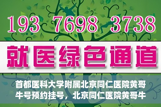 首都医科大学附属北京同仁医院黄哥牛号预约挂号，北京同仁医院黄哥牛号预约挂号攻略，专业医疗服务的便捷通道