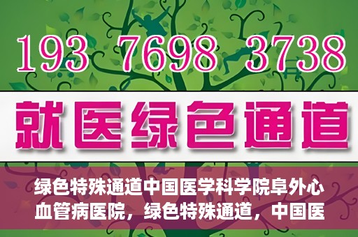 绿色特殊通道中国医学科学院阜外心血管病医院，绿色特殊通道，中国医学科学院阜外心血管病医院的探索与实践