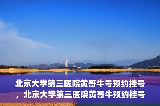 北京大学第三医院黄哥牛号预约挂号，北京大学第三医院黄哥牛预约挂号攻略，轻松预约专家号