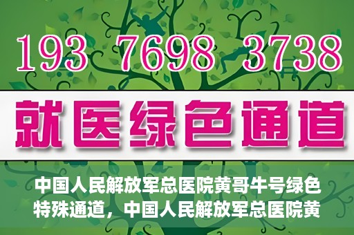 中国人民解放军总医院黄哥牛号绿色特殊通道，中国人民解放军总医院黄哥牛号，绿色特殊通道开启健康之门