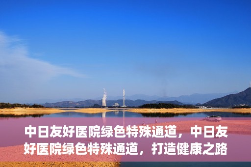 中日友好医院绿色特殊通道，中日友好医院绿色特殊通道，打造健康之路的新篇章