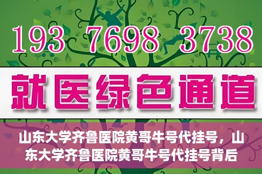 山东大学齐鲁医院黄哥牛号代挂号，山东大学齐鲁医院黄哥牛号代挂号背后的故事与探索