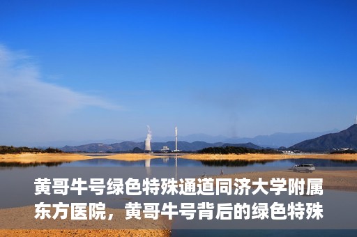黄哥牛号绿色特殊通道同济大学附属东方医院，黄哥牛号背后的绿色特殊通道，同济大学附属东方医院的探索与实践