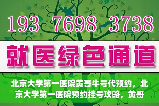 北京大学第一医院黄哥牛号代预约，北京大学第一医院预约挂号攻略，黄哥牛号预约详解