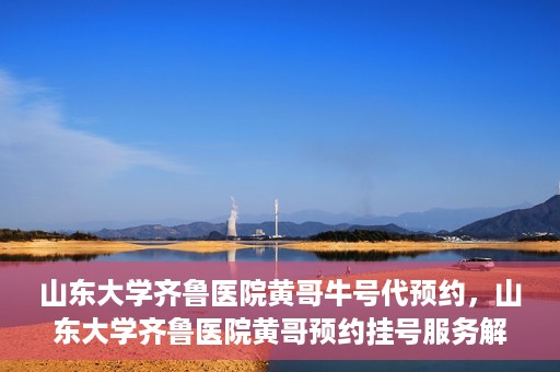 山东大学齐鲁医院黄哥牛号代预约，山东大学齐鲁医院黄哥预约挂号服务解析
