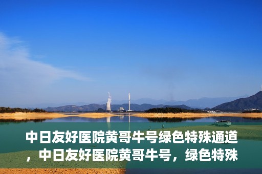 中日友好医院黄哥牛号绿色特殊通道，中日友好医院黄哥牛号，绿色特殊通道开启健康之门